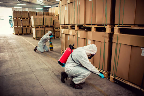 Best Best Pest Control Companies  in Clayton, NC