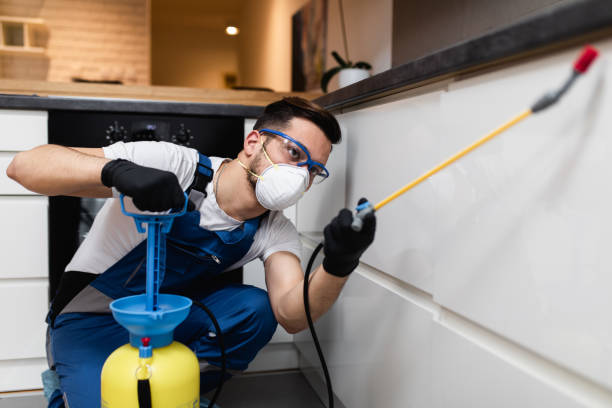 Best Flea Control Services  in Clayton, NC