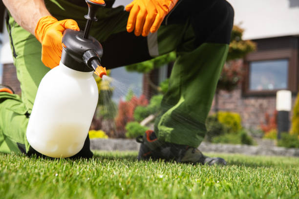 Wildlife Control Services in Clayton, NC