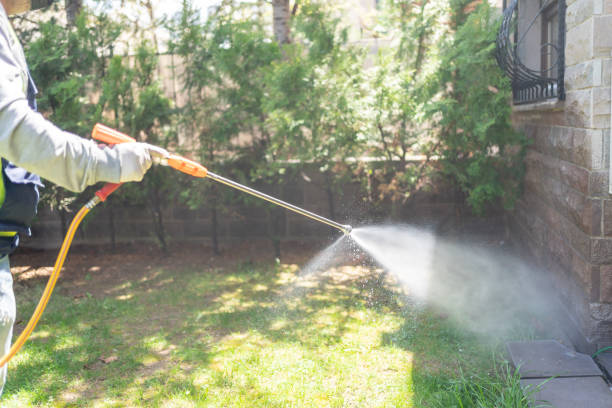 Best Rodent Control Near Me  in Clayton, NC