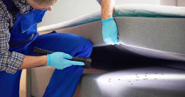 Best Emergency Pest Control  in Clayton, NC