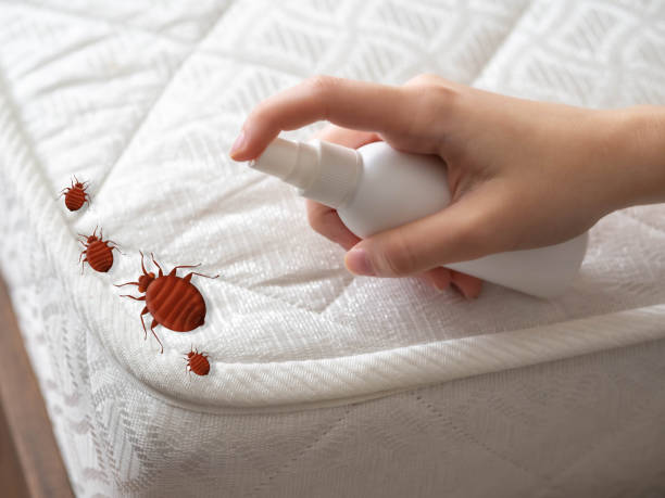 Best Best Pest Control Companies  in Clayton, NC