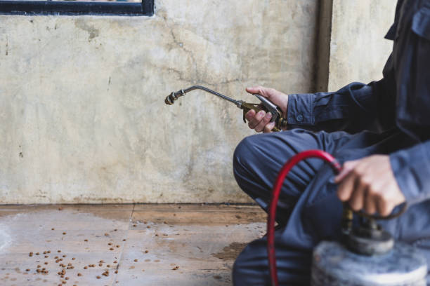 Best Pest Removal Services  in Clayton, NC
