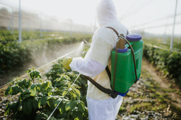 Best Exterminator Services  in Clayton, NC